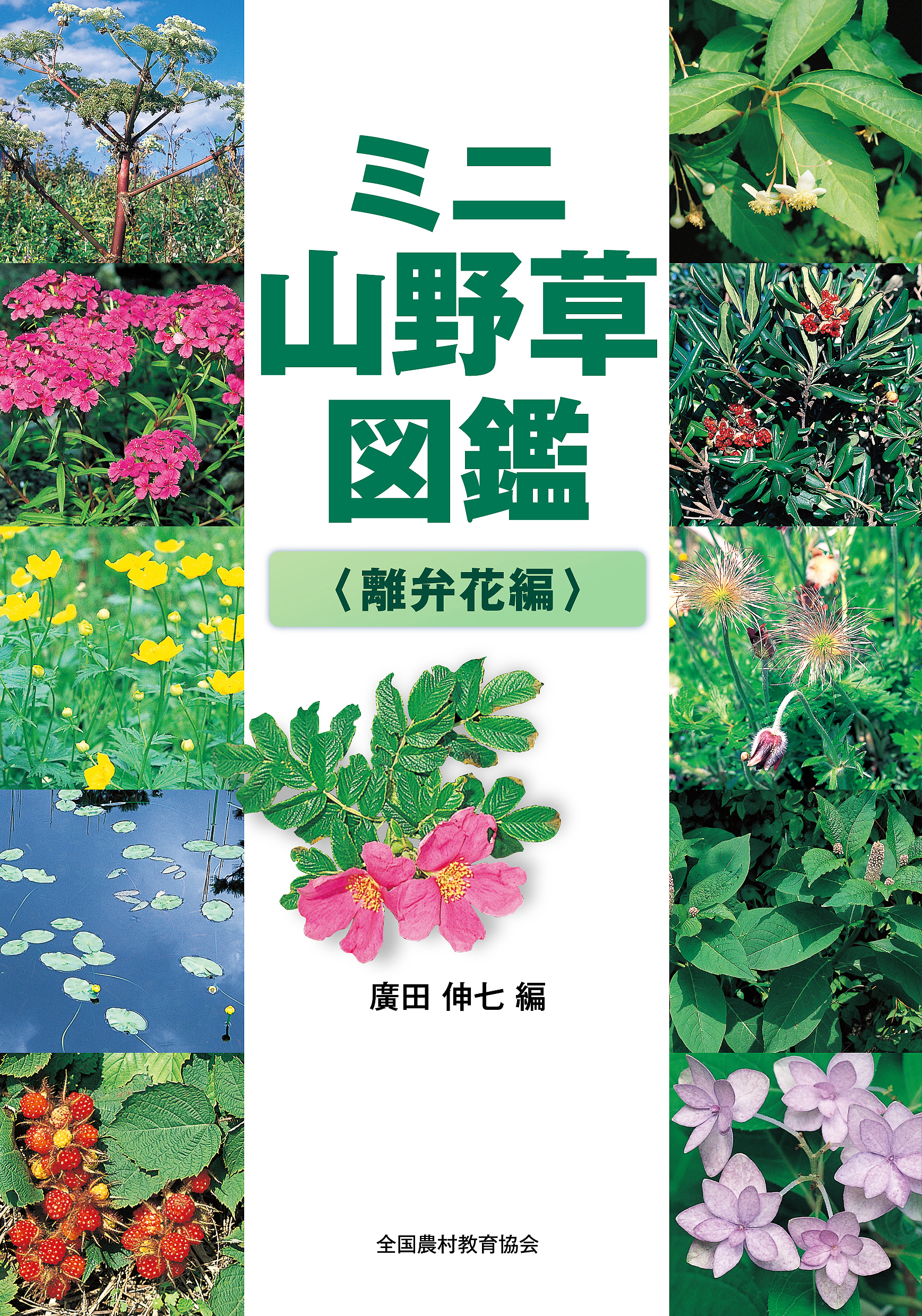 ミニ山野草図鑑\u2015離弁花編\u2015 - 全国農村教育協会 出版サイト