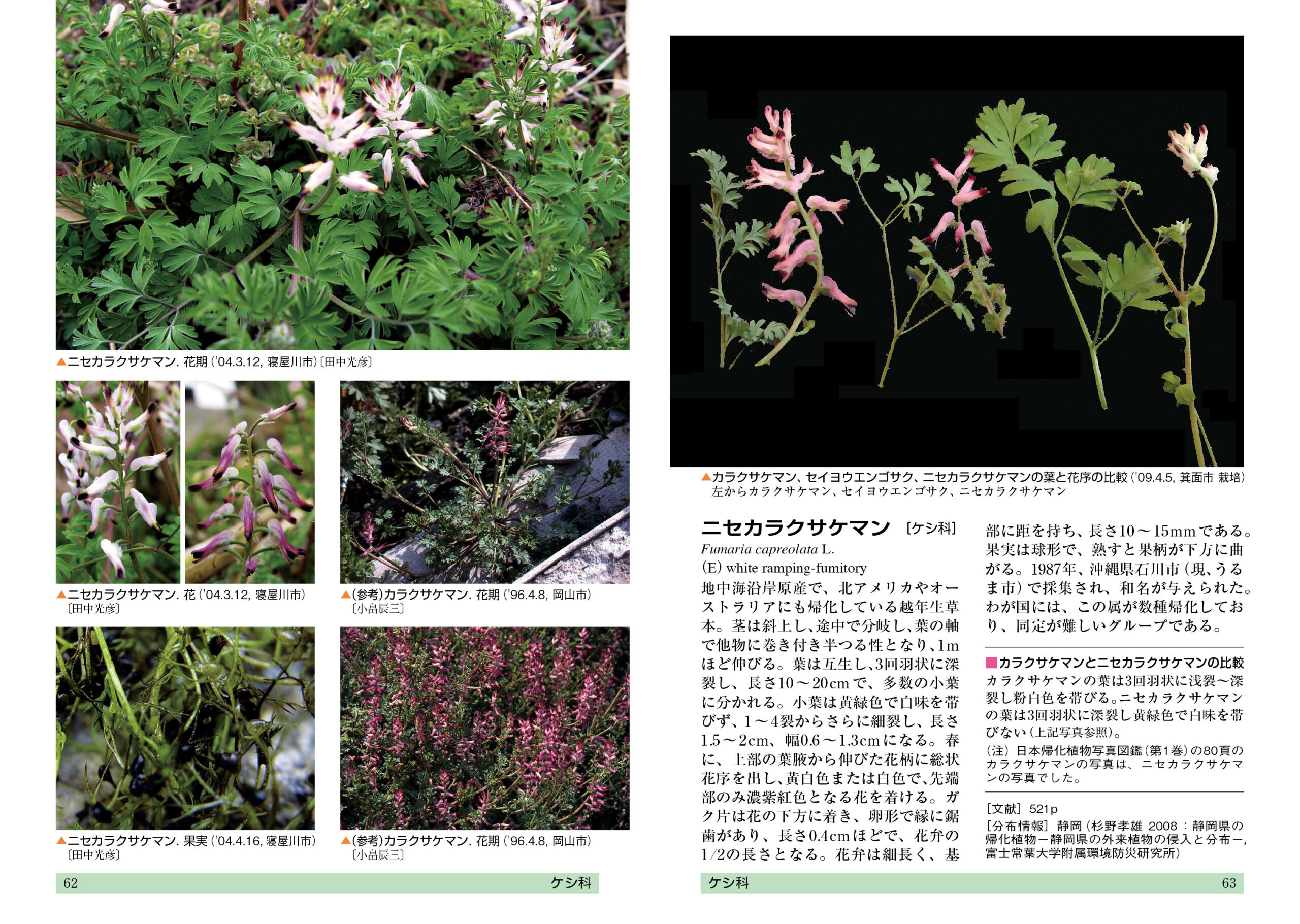 増補改訂 日本帰化植物写真図鑑 第2巻―Plant invader 500種― - 全国 