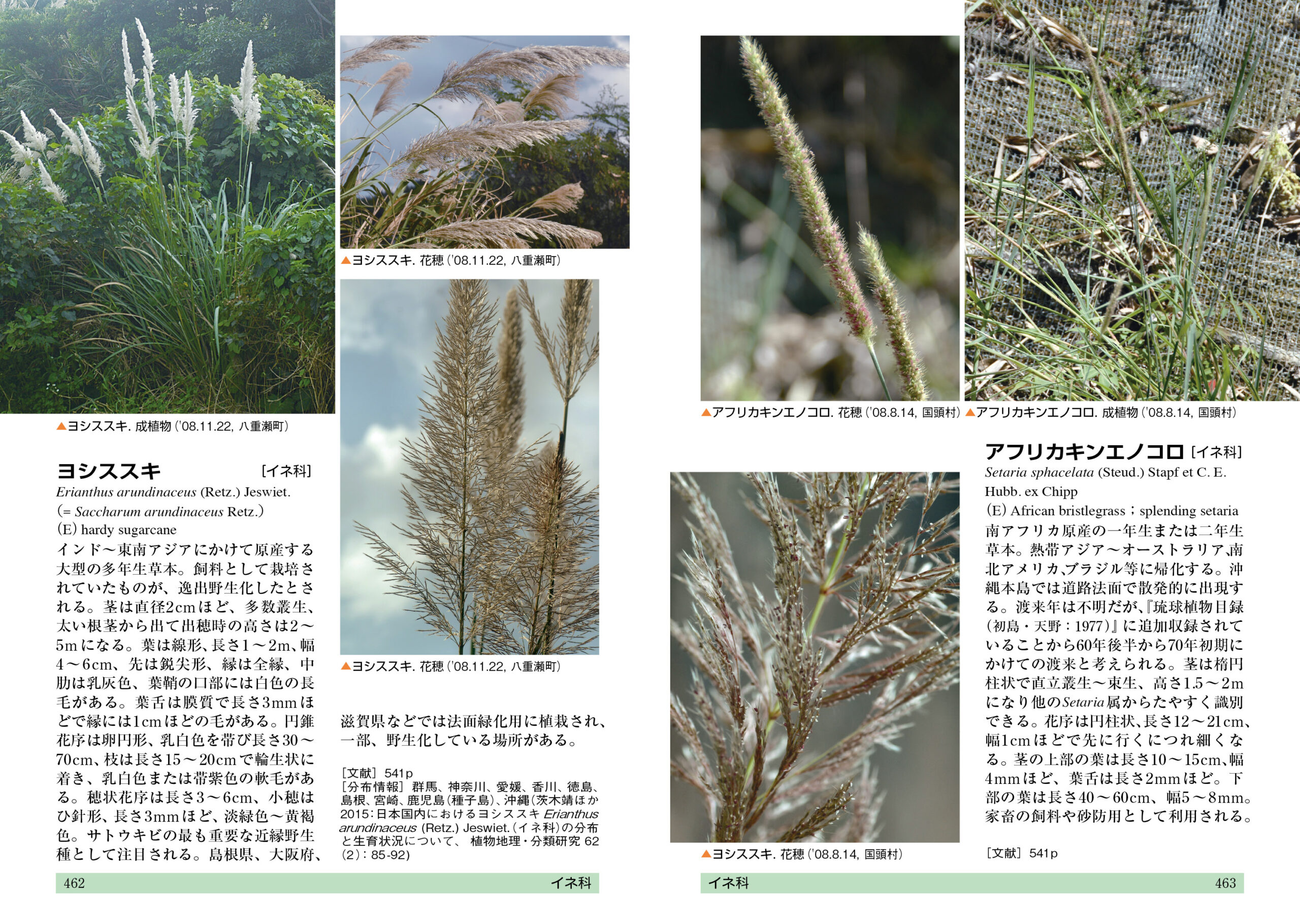 増補改訂 日本帰化植物写真図鑑 第2巻―Plant invader 500種― - 全国 