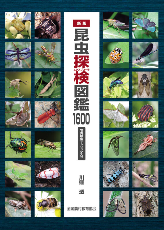 新版-昆虫探検図鑑1600の表紙画像です